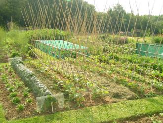 ALLOTMENT 2006 035