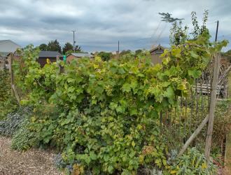 2025 3rd Best Plot 16B 03