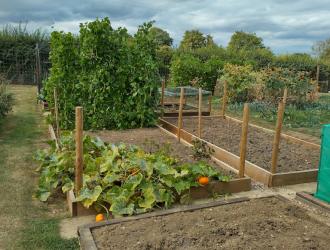 2025 Best Newcomer Plot 7A 02