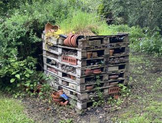 thumbnail 007 Bug Hotel
