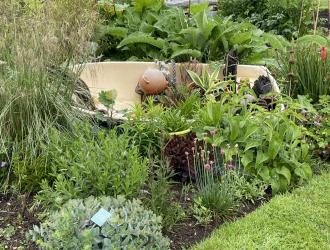 thumbnail 013 Hidden Boat