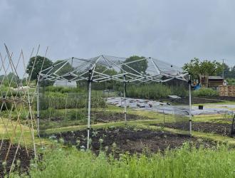 thumbnail 014 Gazebo