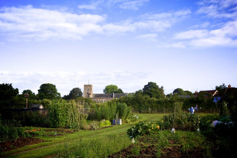 Capel Allotments